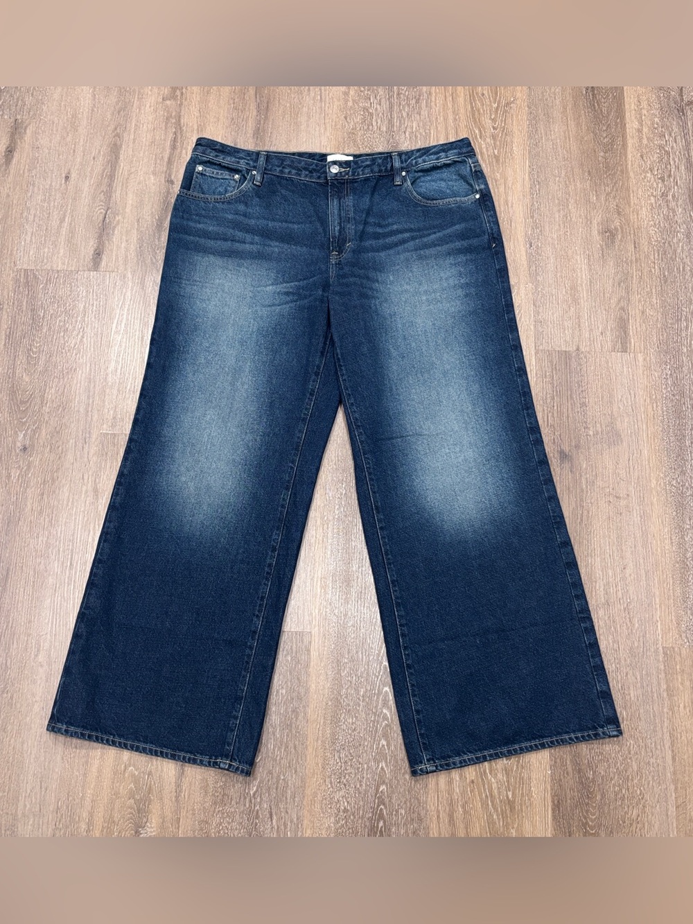 PacSun Casey Low Rise Baggy Jeans Wide Leg Dark Wash NWOT 34S
